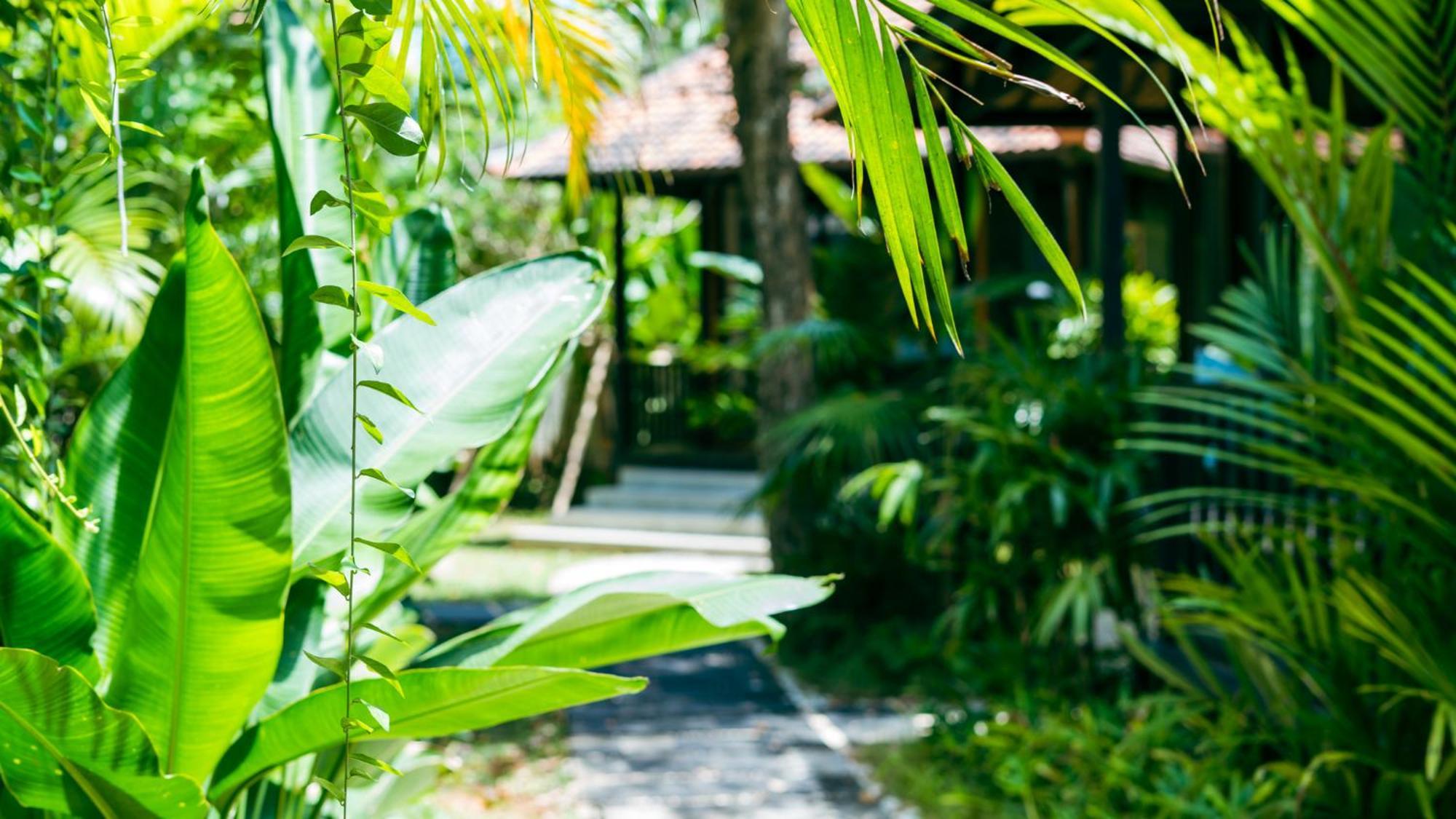 Onaya Bali Resort - Adults Only Uluwatu Eksteriør bilde